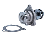 P546 BOMBA DE AGUA FIESTA